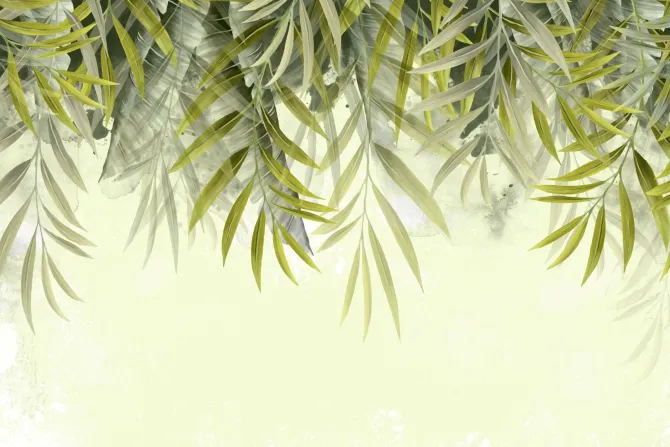 Fototapeta: Tropikalne liście 3d na zielonym tle