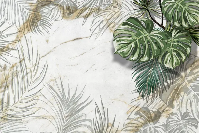 Fototapeta: Tropikalne rośliny monstera i palma