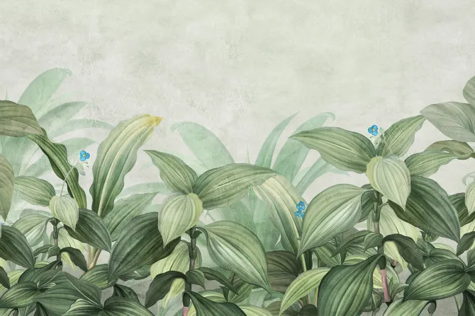 Fototapeta: Tropikalne rośliny i małe niebieskie kwiatki