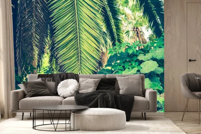 Fototapeta: Tropikalne tło z liści palmowych