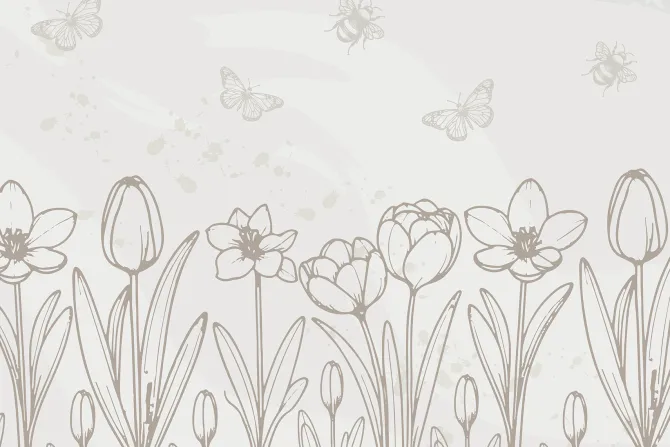 Fototapeta: Tulipany motyle i owady w minimalistycznym stylu beżowy botaniczny