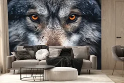 Fototapeta: Twarz wilka widziana z bliska
