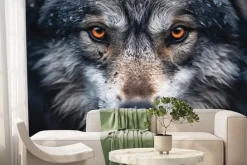 Fototapeta: Twarz wilka widziana z bliska