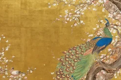 Fototapeta: Urokliwy paw wśród kwiatów wiśni