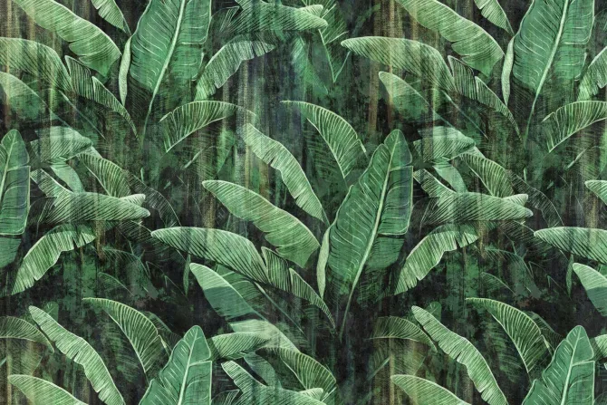 Fototapeta: Vintage tropikalne liście