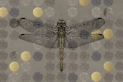 Fototapeta: Ważka na geometrycznym tle