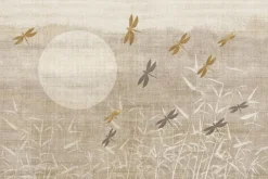 Fototapeta: Ważki nad trzcinami o wschodzie słońca