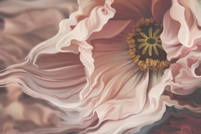 Fototapeta: Widok na różowego tulipana z bliska