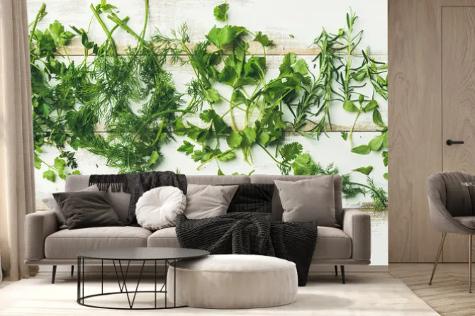 Fototapeta: Świeże zioła na bielonych deskach