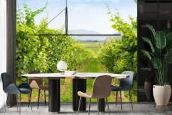 Fototapeta: Winogrona w winnicy