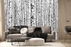 Fototapeta: Wiosenne czarno-białe pnie brzóz