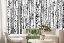Fototapeta: Wiosenne czarno-białe pnie brzóz