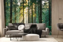 Fototapeta: Wiosenny las z promieniami słońca