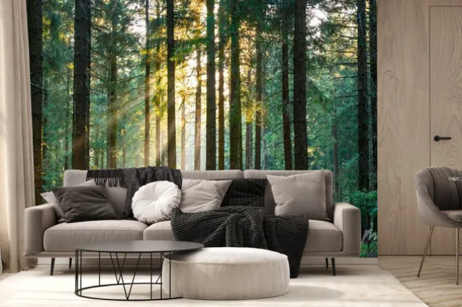 Fototapeta: Wiosenny las z promieniami słońca