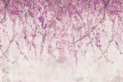 Fototapeta: Wiszące pnącza kwiatów wiśni