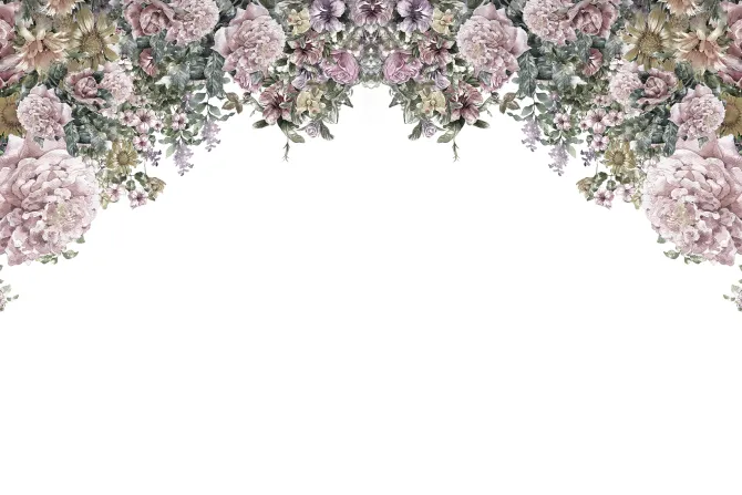 Fototapeta: Wiszące różowe kwiaty na białym tle