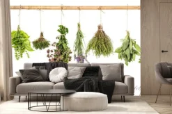 Fototapeta: Wiązki świeżych ziół na sznurku i bambusowym drążku