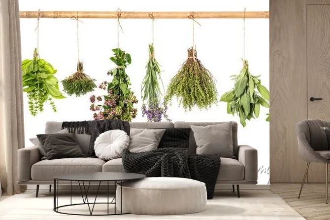 Fototapeta: Wiązki świeżych ziół na sznurku i bambusowym drążku