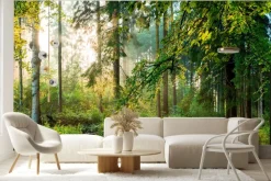 Fototapeta: Wschód słońca w lesie