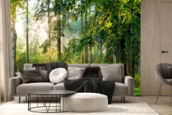 Fototapeta: Wschód słońca w lesie