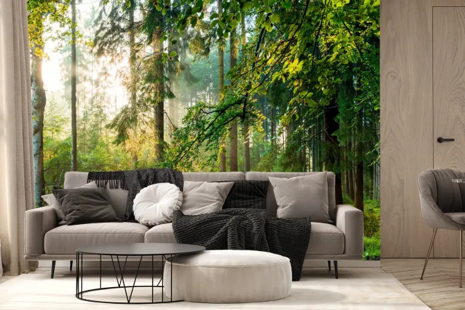 Fototapeta: Wschód słońca w lesie