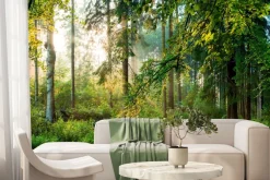 Fototapeta: Wschód słońca w lesie