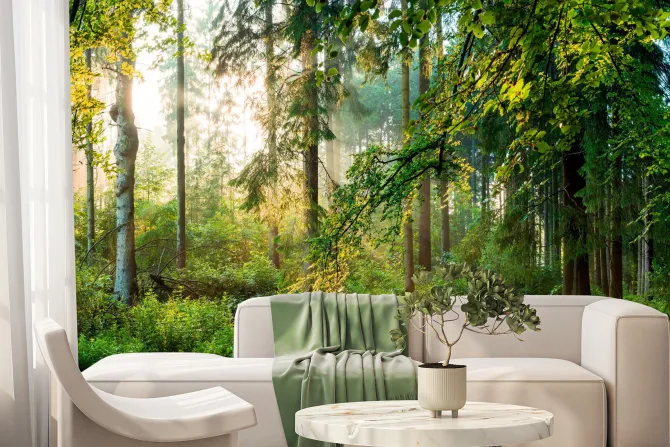 Fototapeta: Wschód słońca w lesie