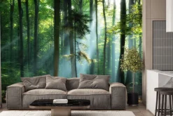 Fototapeta: Wschód słońca w zielonym lesie krajobraz natura