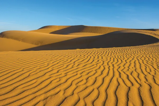 Fototapeta: Wydmy na piaszczystej pustyni