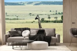 Fototapeta: Żyrafa na sawannie