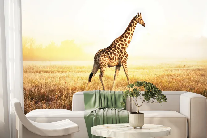 Fototapeta: Żyrafa na słonecznym safari