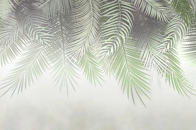 Fototapeta: Zamglone liście palm na ścianie