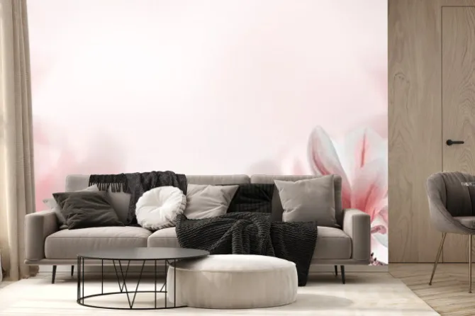 Fototapeta: Zbliżenie kwitnącego drzewa magnolii