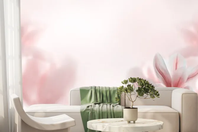 Fototapeta: Zbliżenie kwitnącego drzewa magnolii