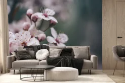 Fototapeta: Zbliżenie wiosennego kwiatu wiśni