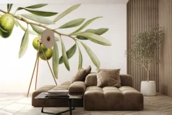 Fototapeta: Zielona gałązka oliwna na białym tle