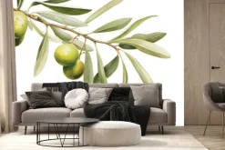 Fototapeta: Zielona gałązka oliwna na białym tle