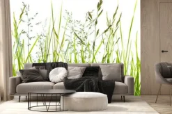 Fototapeta: Zielone źdźbła trawy