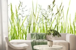 Fototapeta: Zielone źdźbła trawy