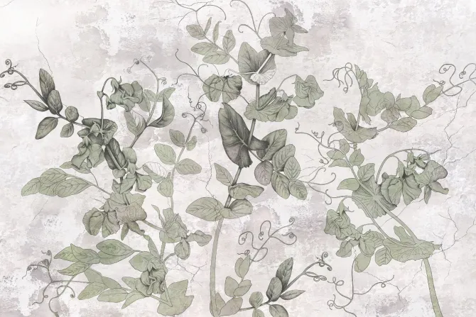 Fototapeta: Zielone liście