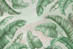 Fototapeta: Zielone liście palmy na betonie