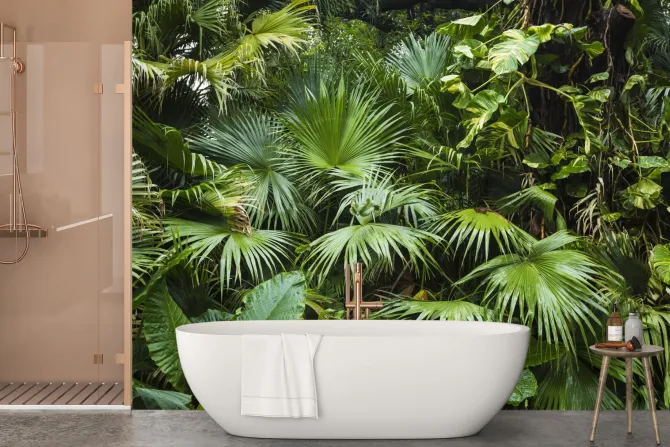 Fototapeta: Zielone liście palmowe tropikalna dżungla