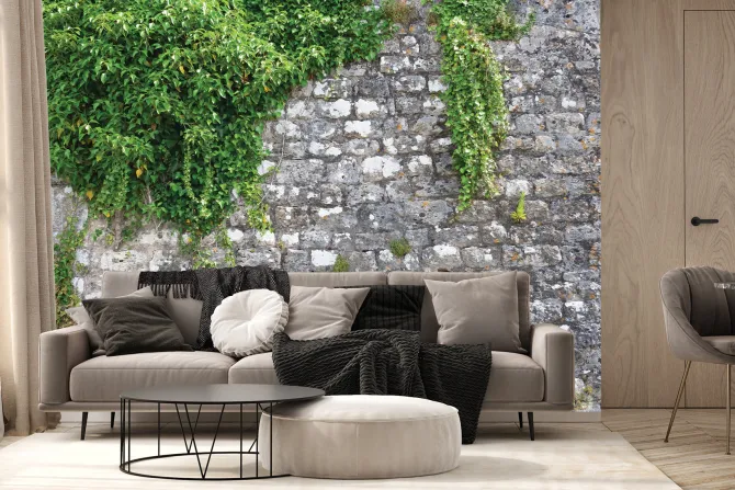 Fototapeta: Zielony bluszcz na kamiennej ścianie