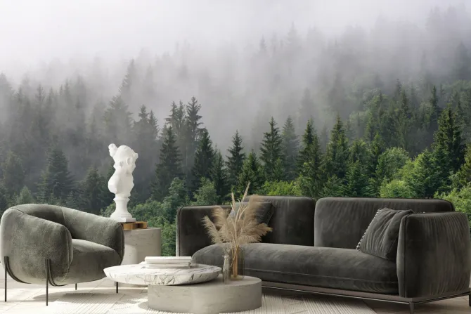 Fototapeta: Zielony górski las świerkowy spowity poranną mgłą