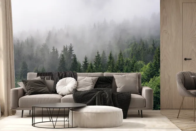 Fototapeta: Zielony górski las świerkowy spowity poranną mgłą