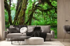 Fototapeta: Zielony las