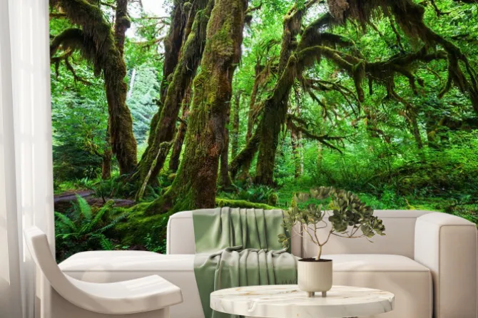 Fototapeta: Zielony las