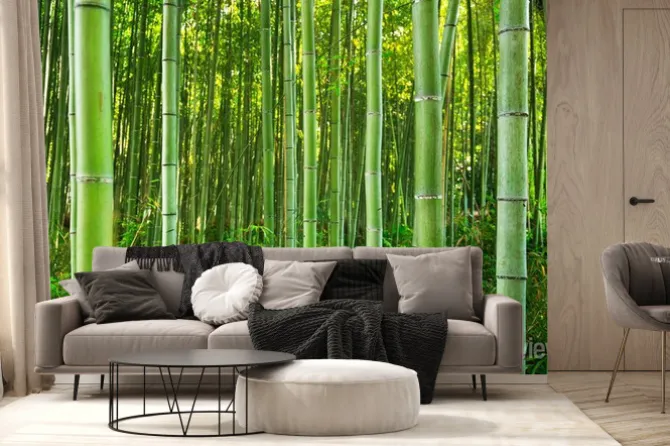 Fototapeta: Zielony las bambusowy