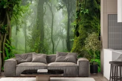 Fototapeta: Zielony las drzewa we mgle