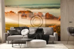 Fototapeta: Zmierzchu krajobrazowy borda wineyard france